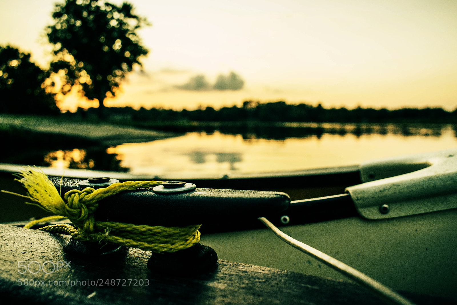 Nikon D5300 sample photo. Tied up photography