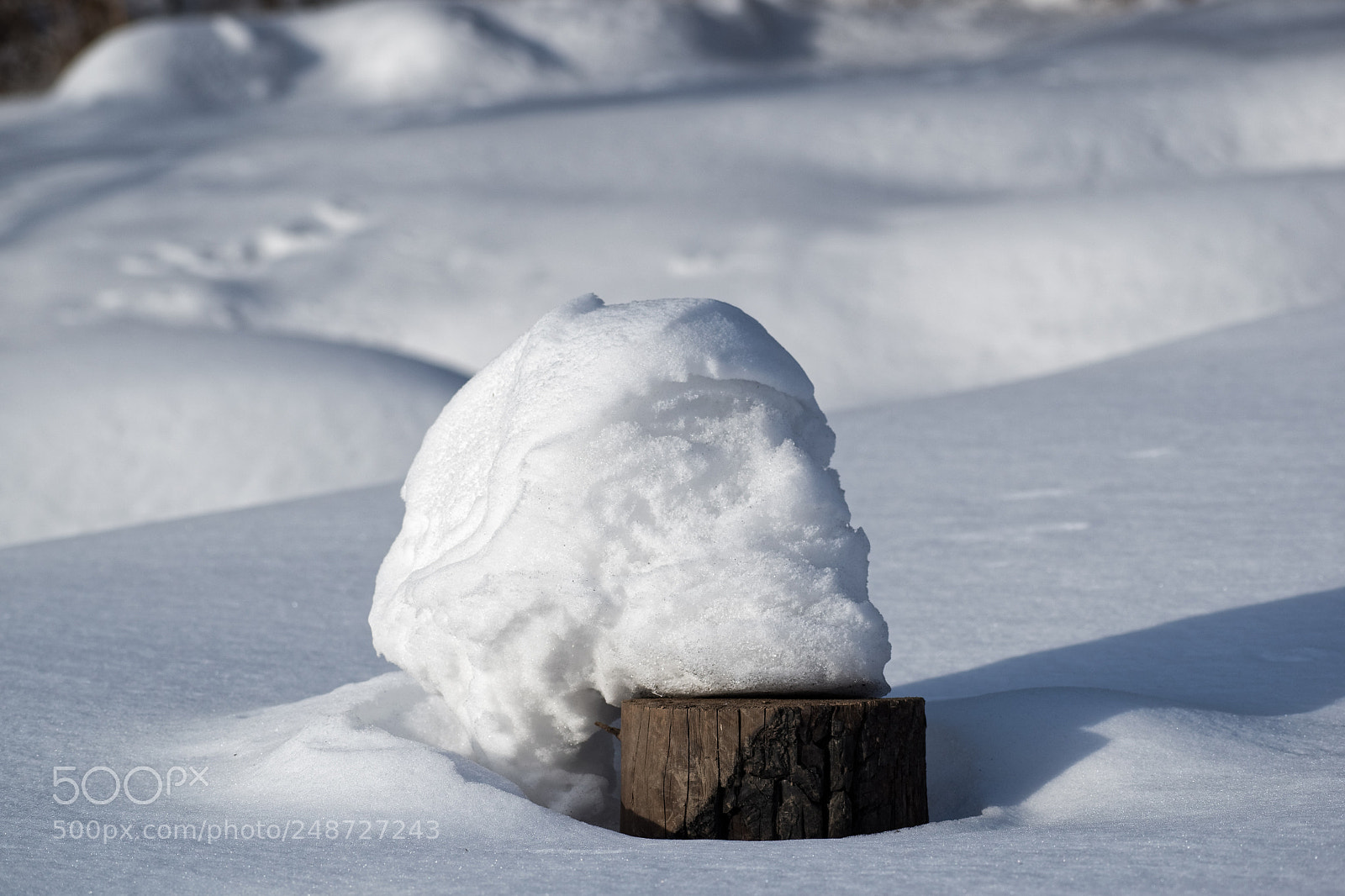 Nikon D5500 sample photo. 6708 photography