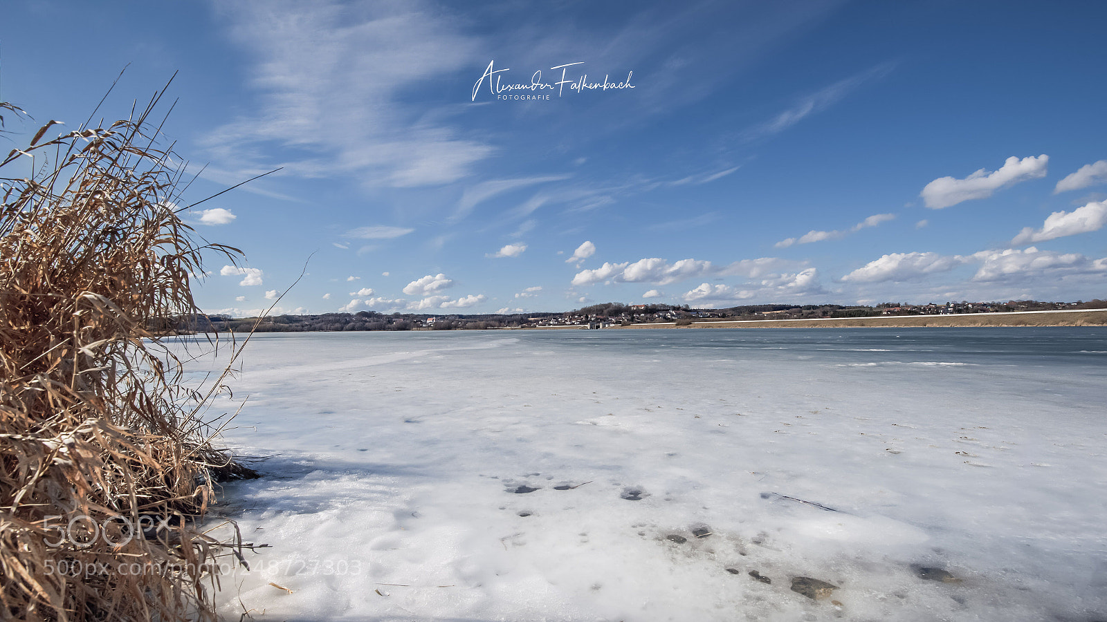 Nikon D610 sample photo. #990 photography