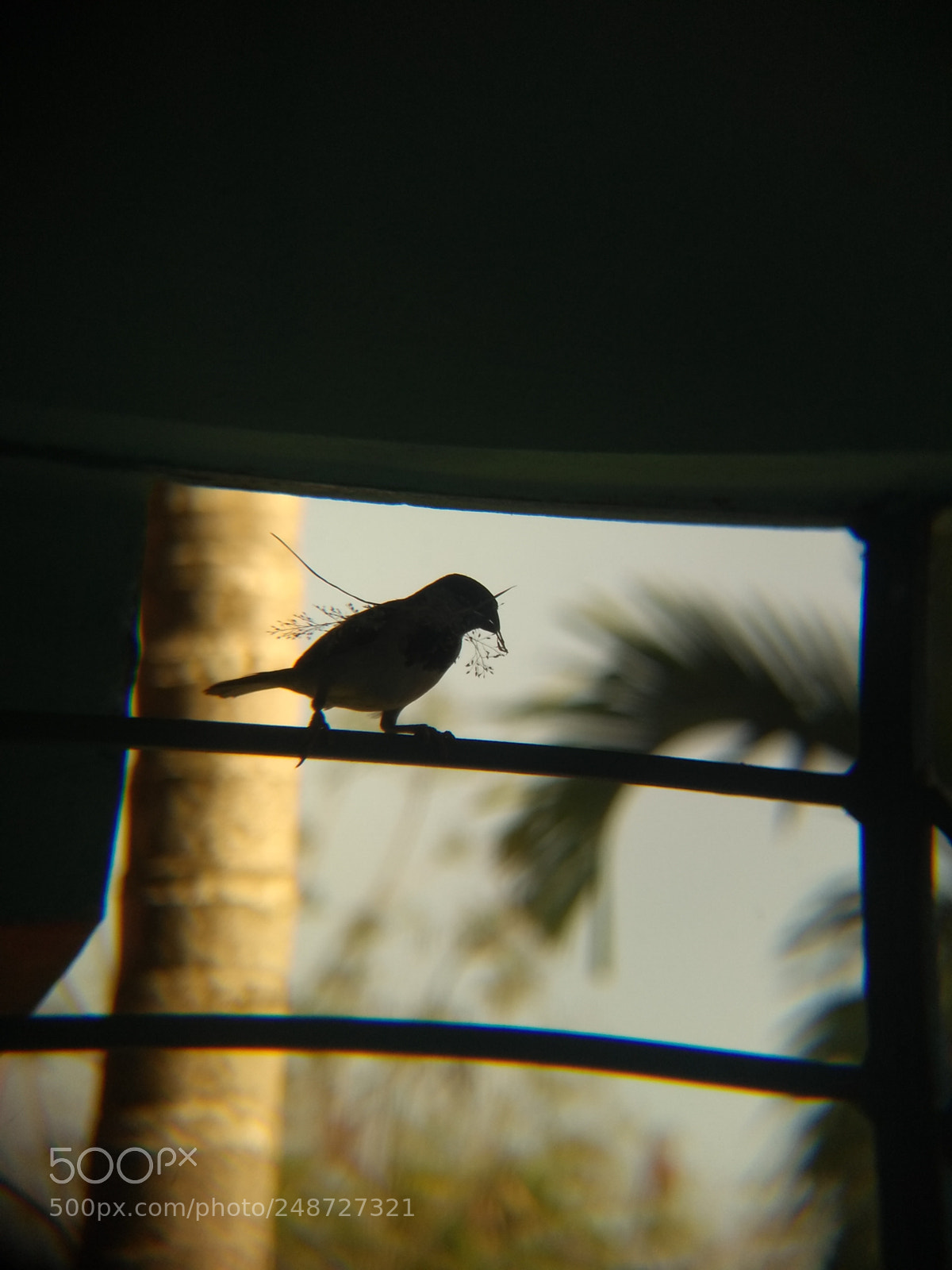 Motorola Moto G (5S) Plus sample photo. Untitled photography