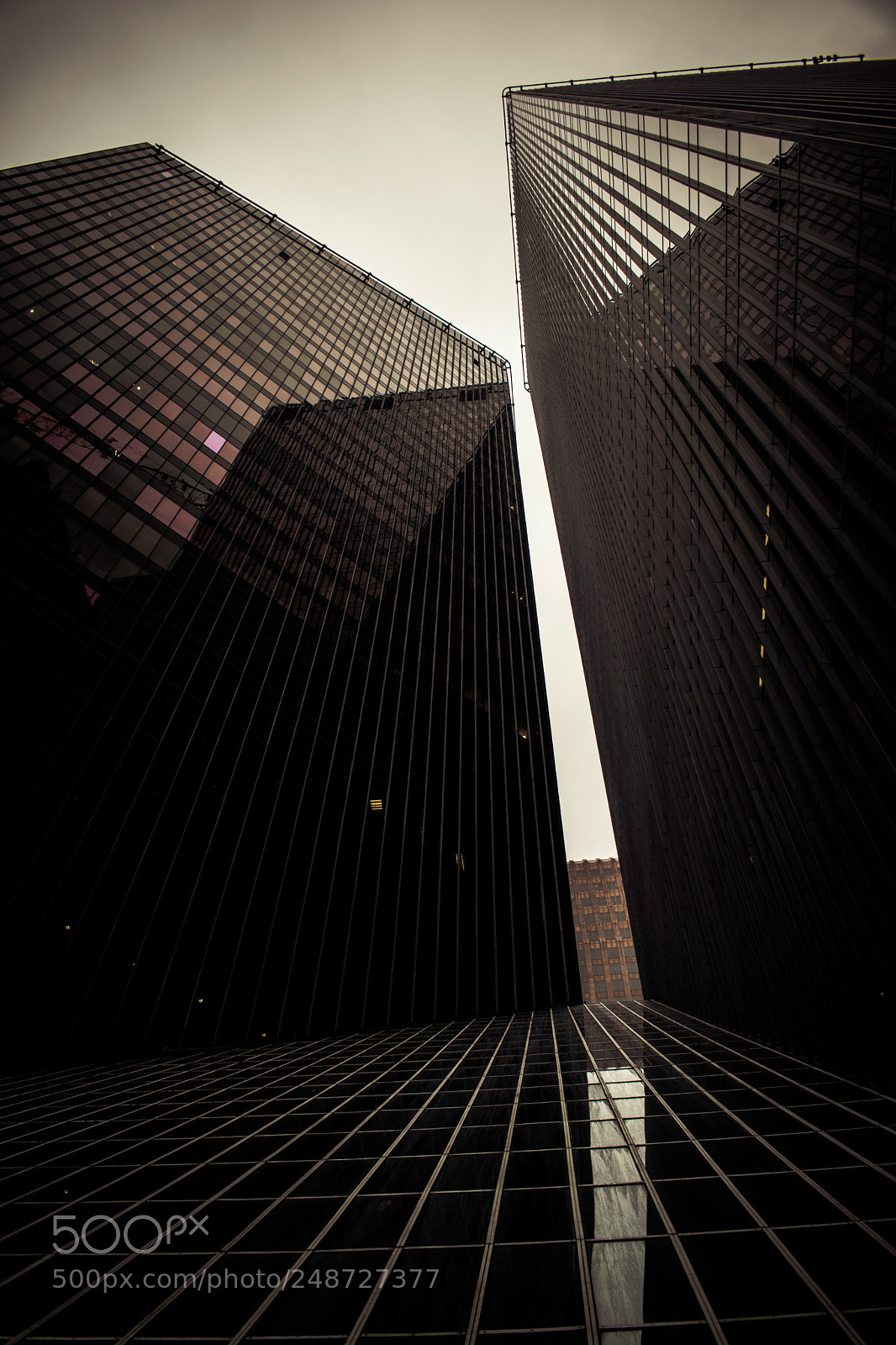 Nikon D5300 sample photo. Looking up photography