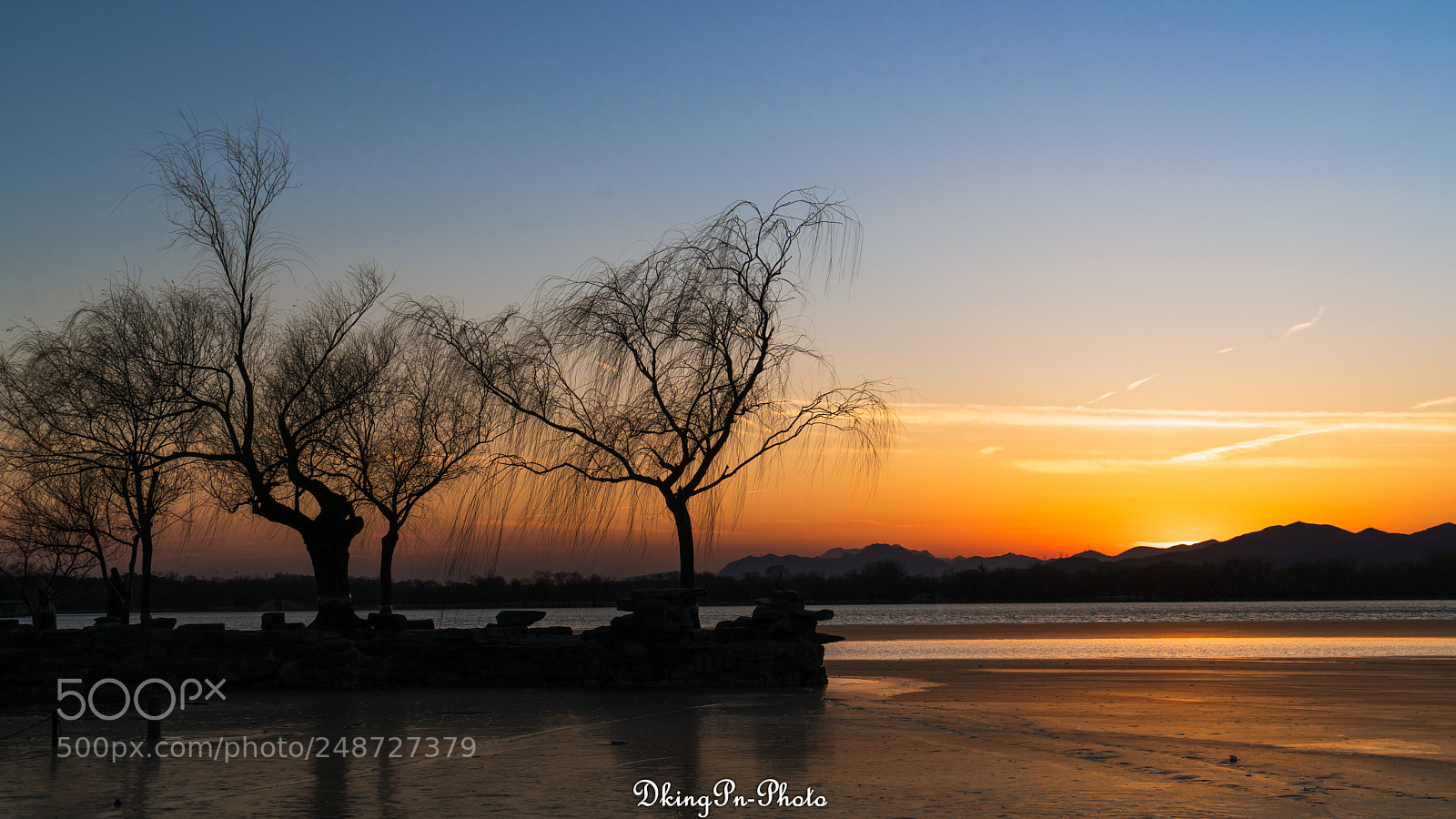 Sony a7R II sample photo. Untitled photography