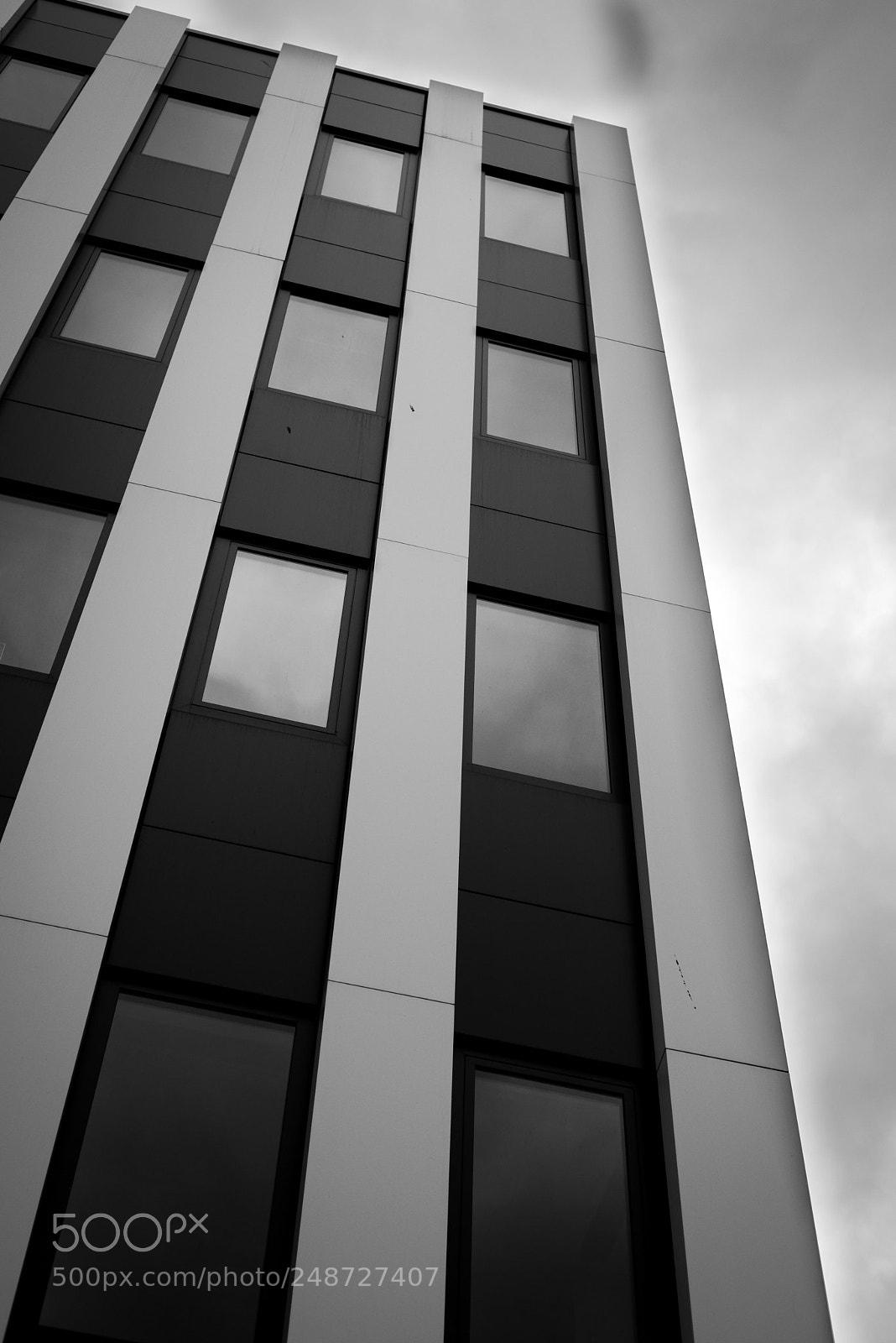 Nikon D610 sample photo. Windows photography