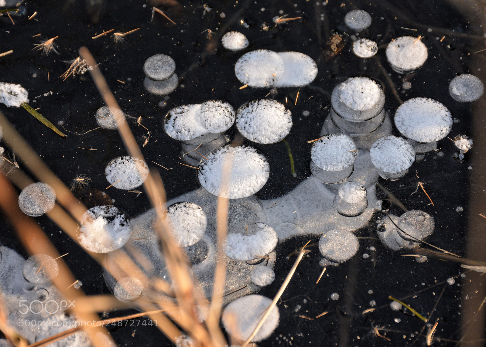 Nikon D5200 sample photo. Luftblasen im eis photography
