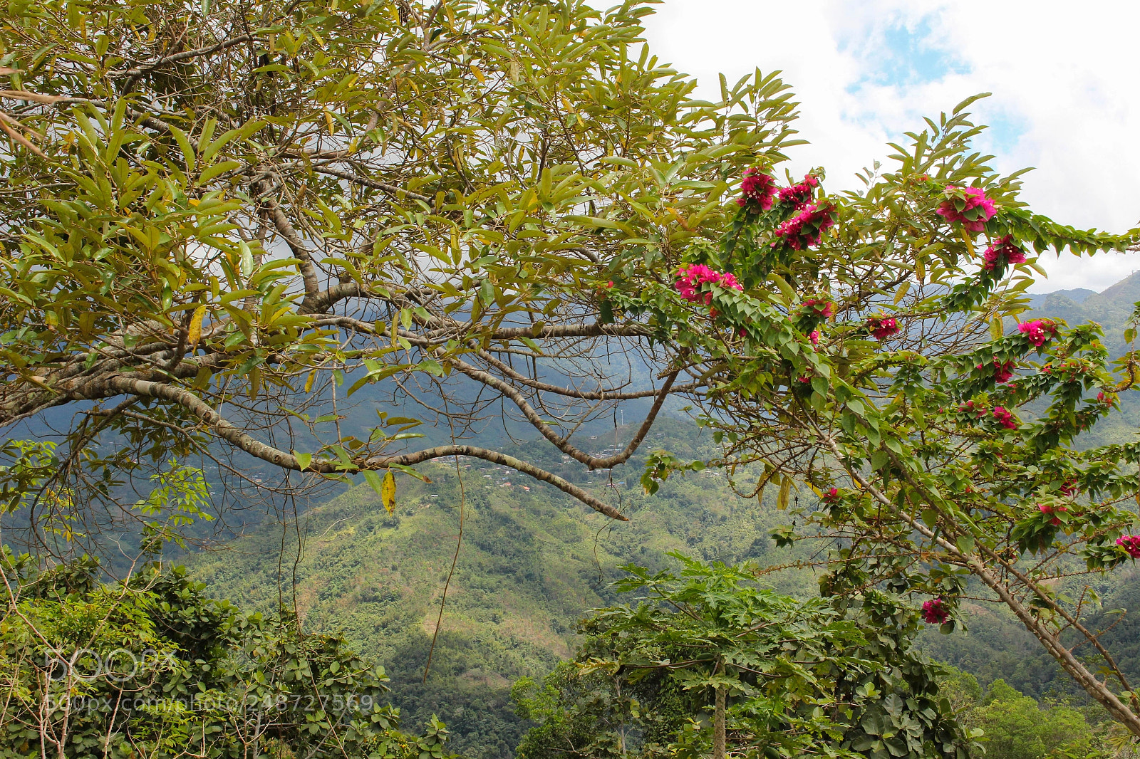 Canon EOS 100D (EOS Rebel SL1 / EOS Kiss X7) sample photo. Below mount kinabalu photography