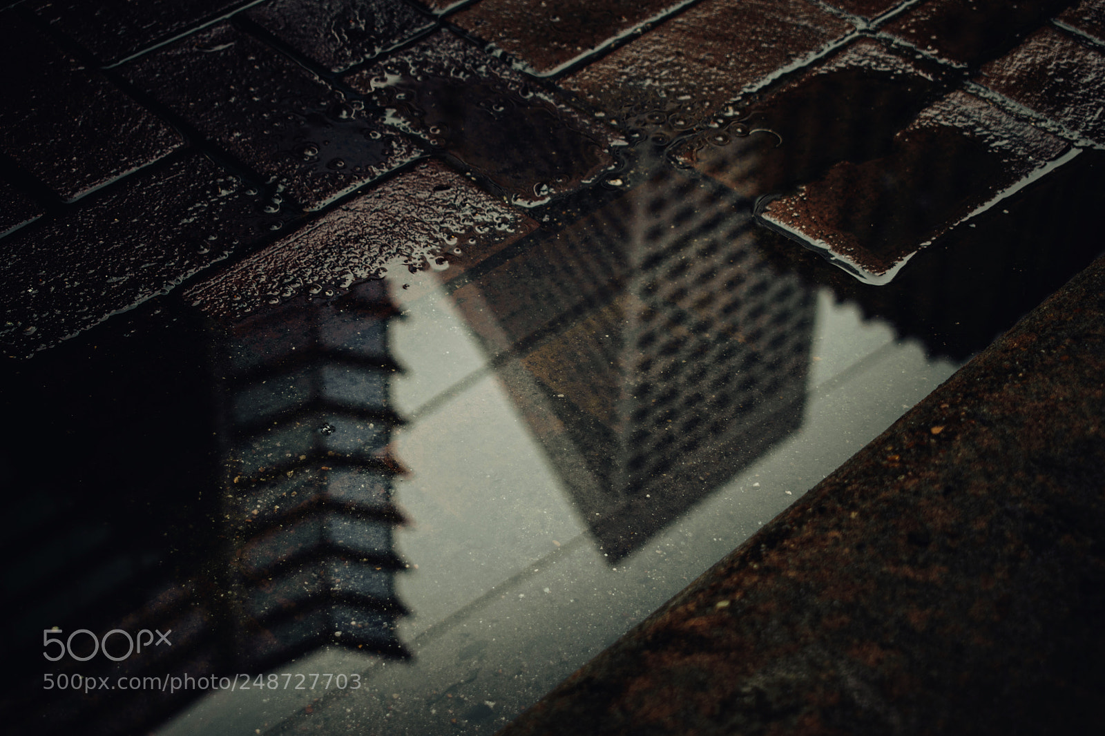 Nikon D5300 sample photo. Reflection photography