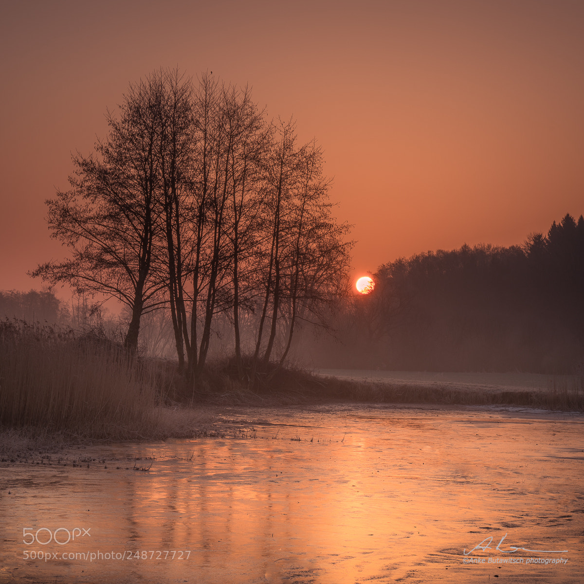 Sony a7R II sample photo. Ice cold morning photography