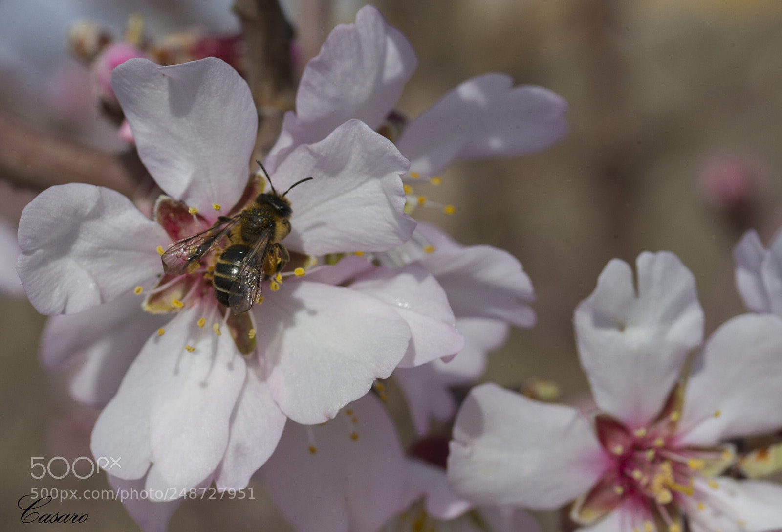 Canon EOS 7D sample photo. Libando photography