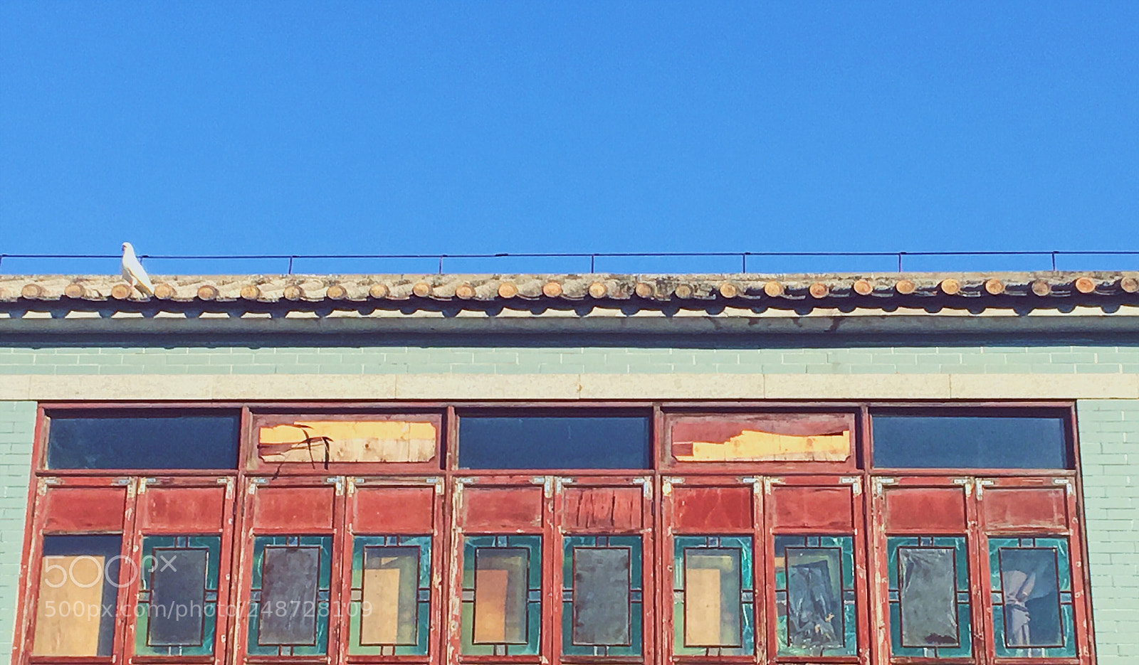 Apple iPhone 6s sample photo. Untitled photography