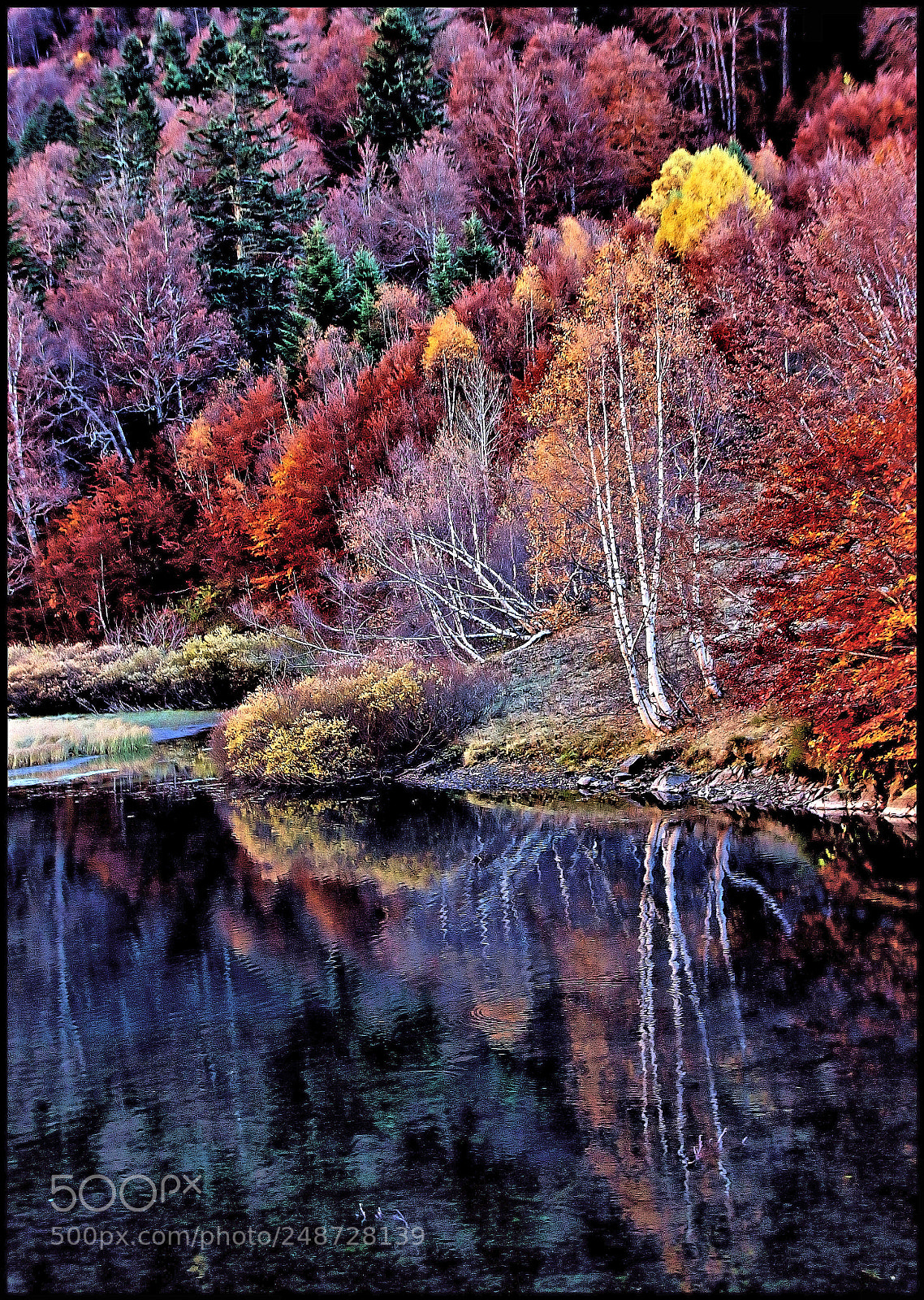 Canon EOS 100D (EOS Rebel SL1 / EOS Kiss X7) sample photo. Pyrenean autumn photography