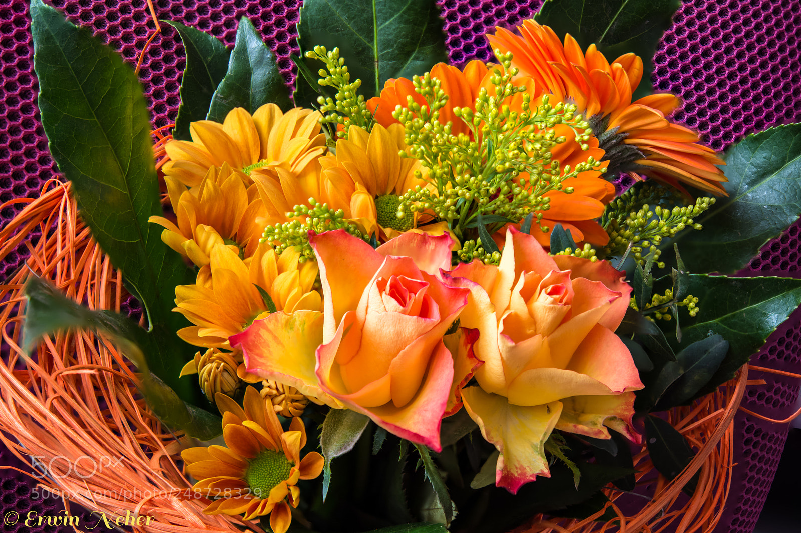 Nikon D7100 sample photo. Flower..3 photography