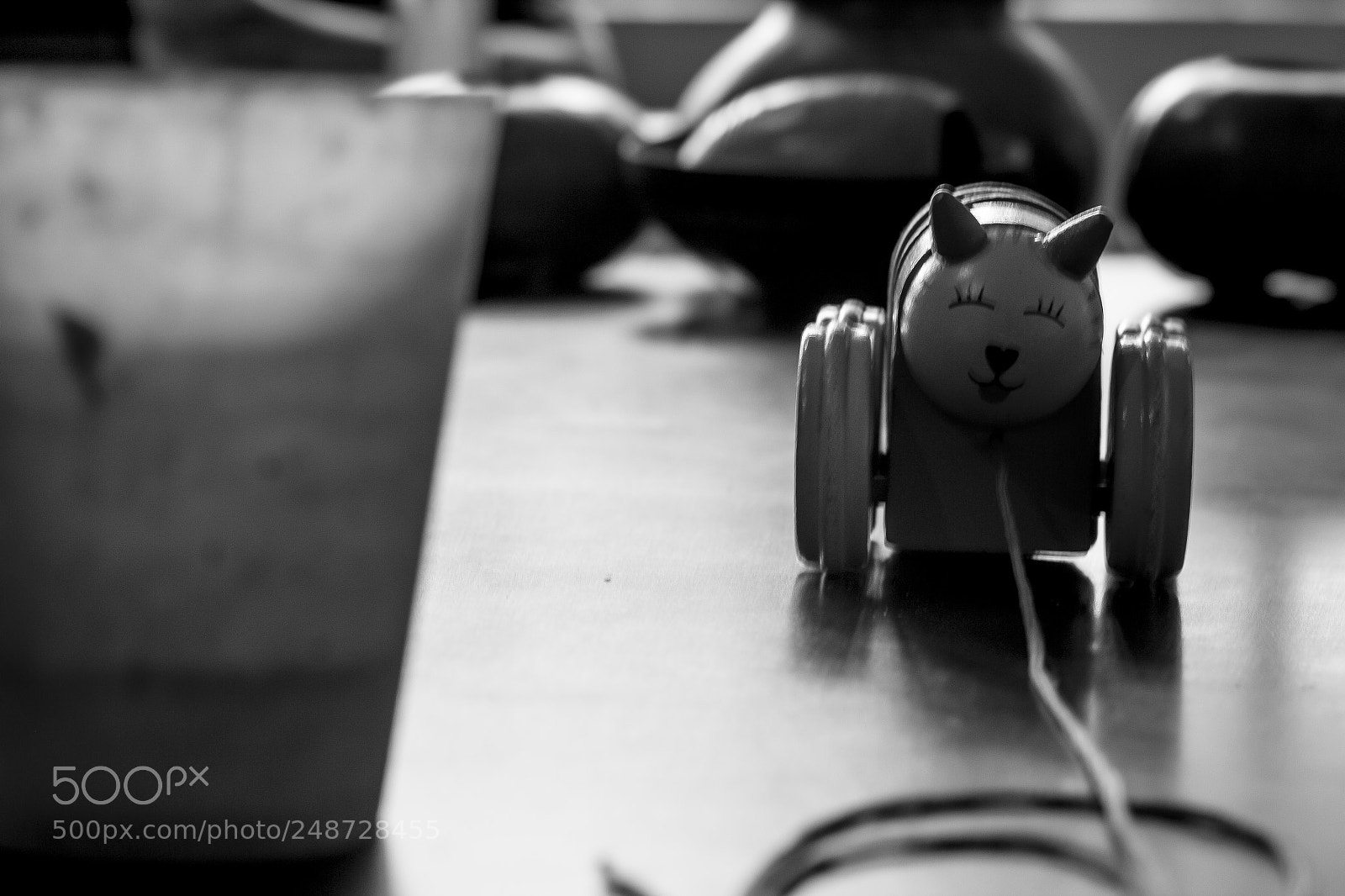 Canon EOS 600D (Rebel EOS T3i / EOS Kiss X5) sample photo. Gatito photography