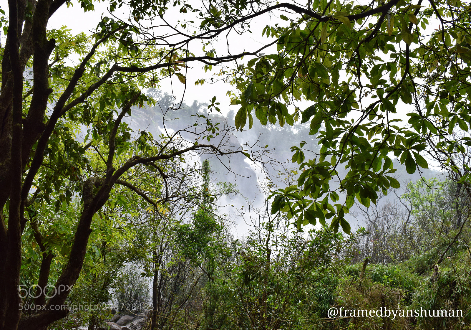 Nikon D5300 sample photo. Nature's beauty. photography