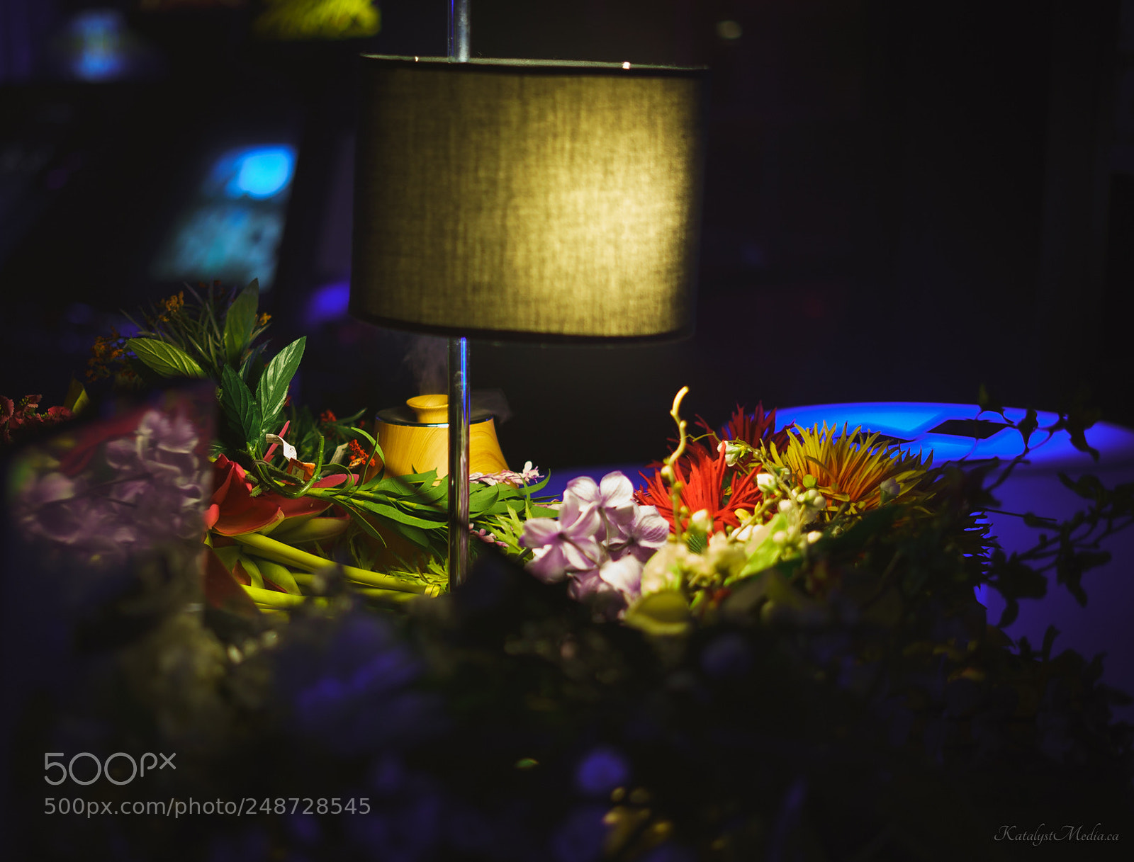 Sony a7S II sample photo. Lamp and flowers photography