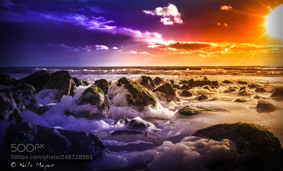 Nikon D5100 sample photo. Strand holland sonnenuntergang photography