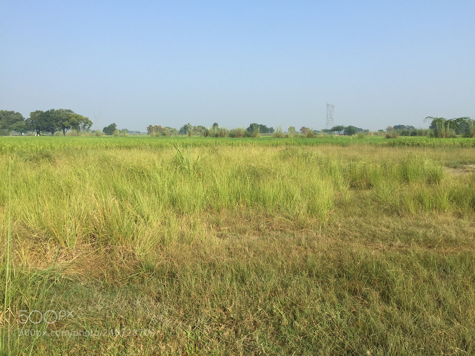 Apple iPhone 6 sample photo. No men’s land photography