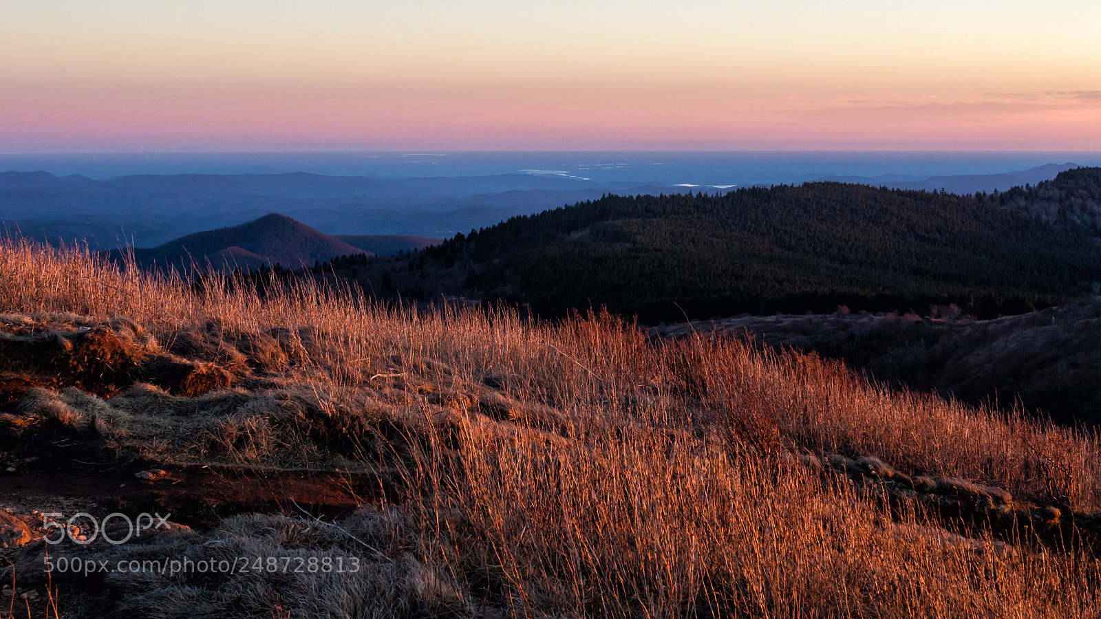 Canon EOS 7D Mark II sample photo. Golden hour hike photography