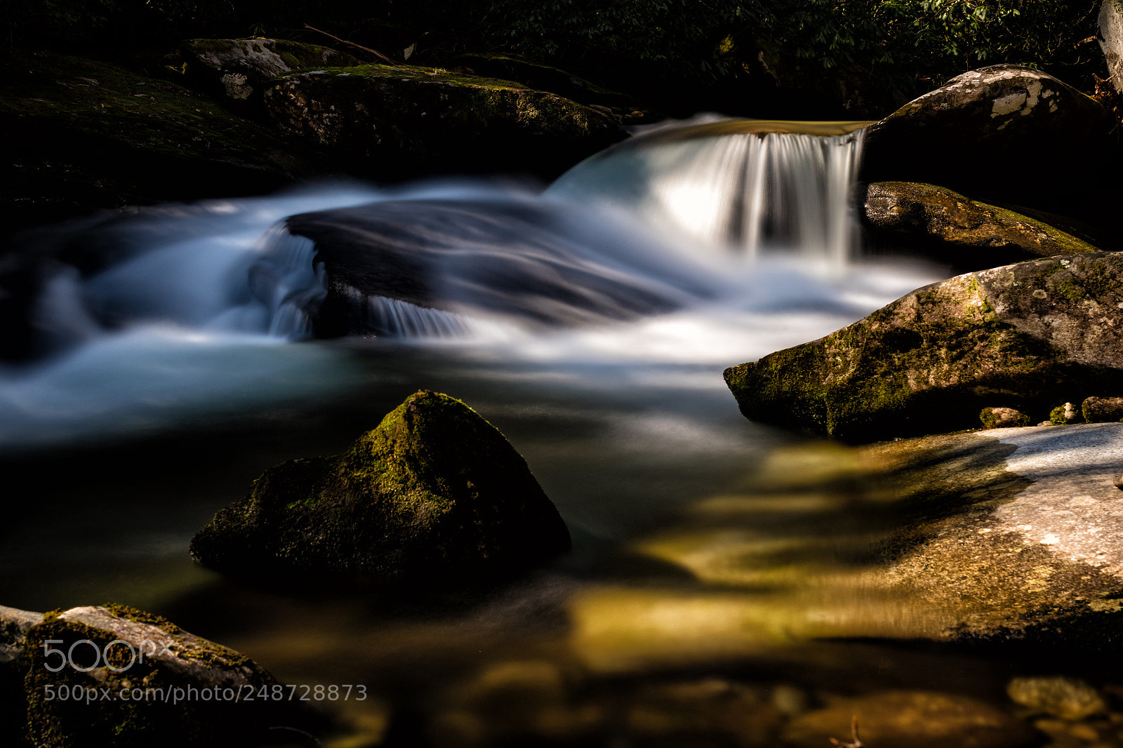 Canon EOS 7D Mark II sample photo. Davidson river flow photography