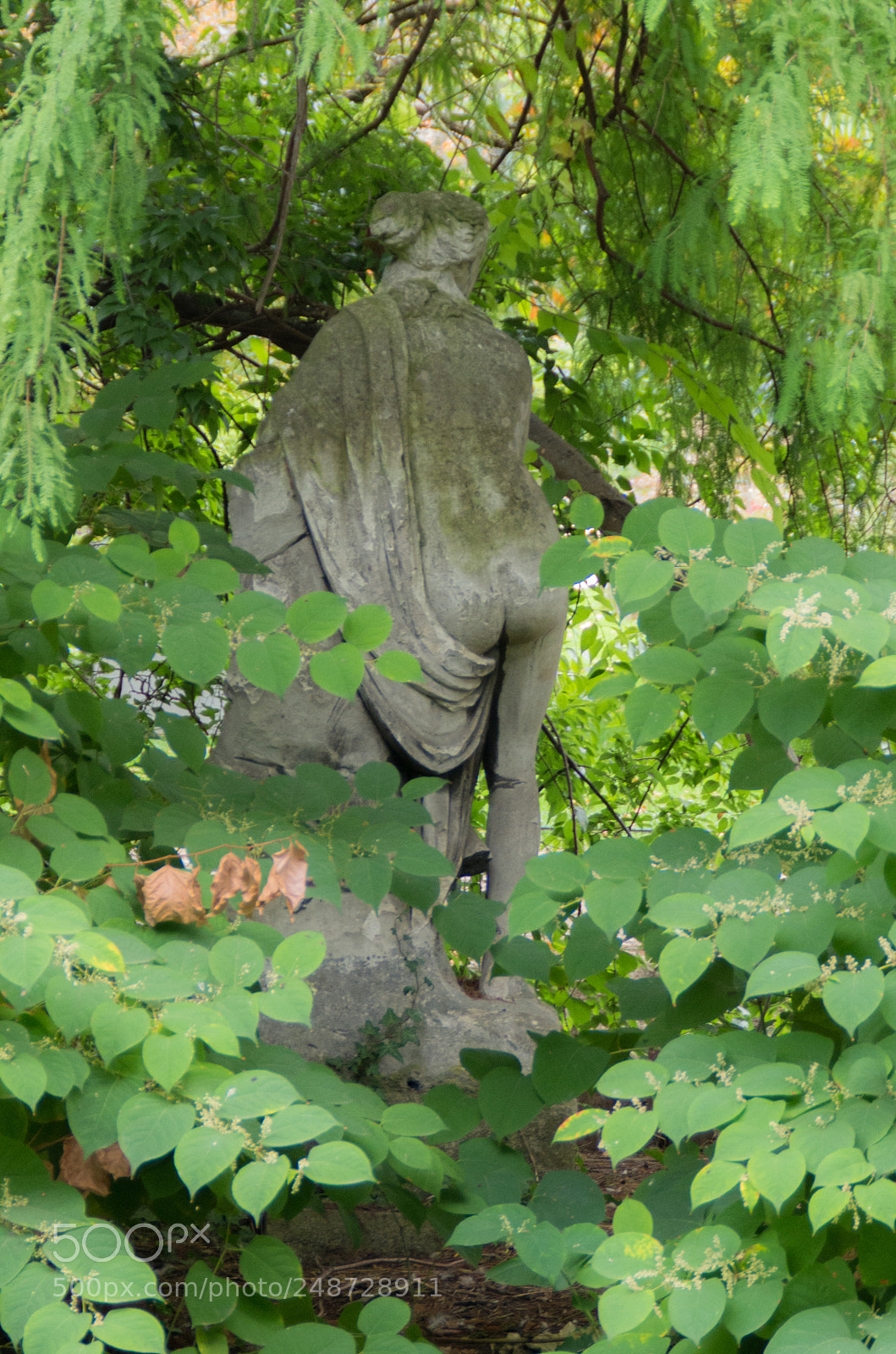 Pentax K-5 sample photo. Hidden in a park photography
