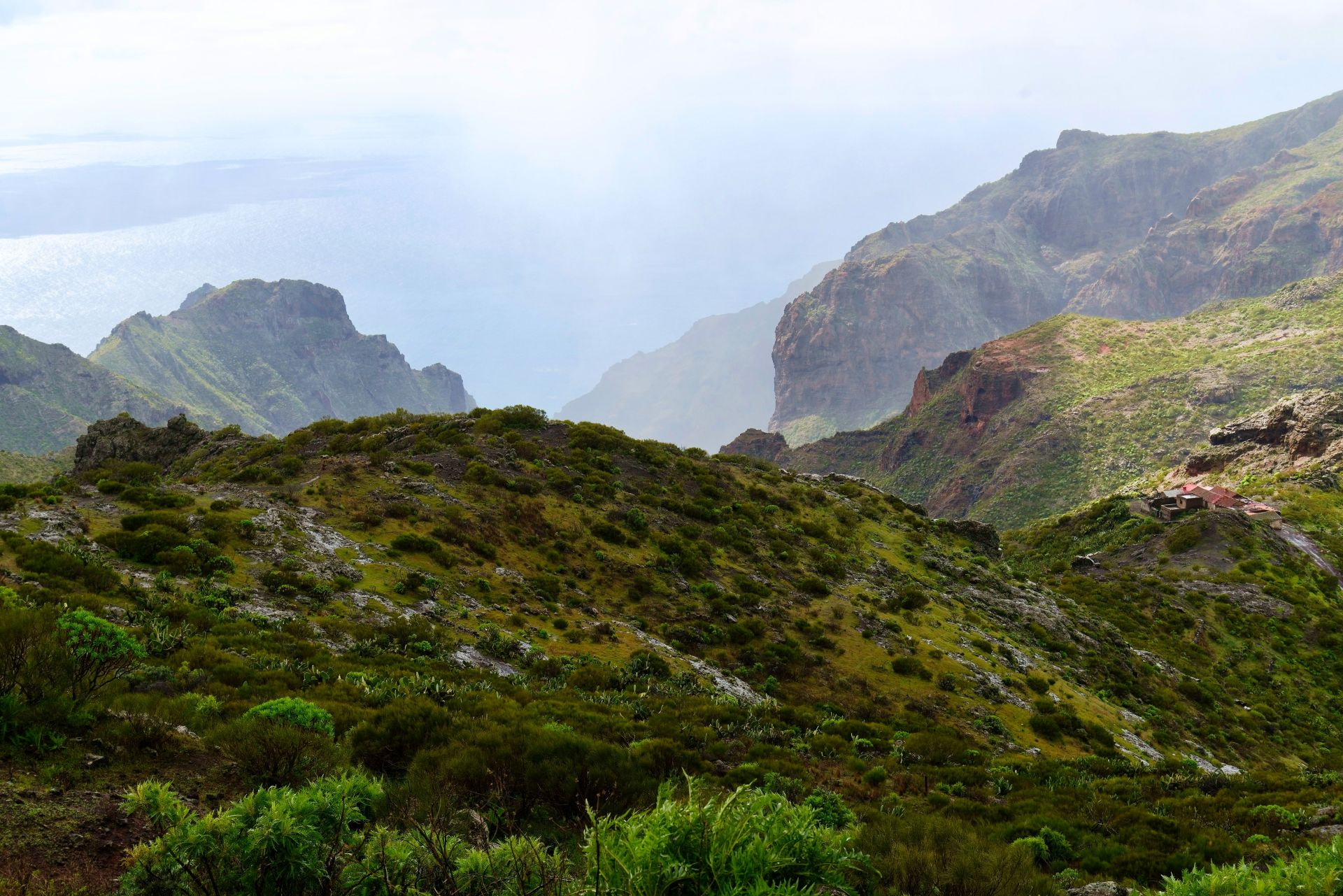 Nikon D800 sample photo. Tenerifa photography