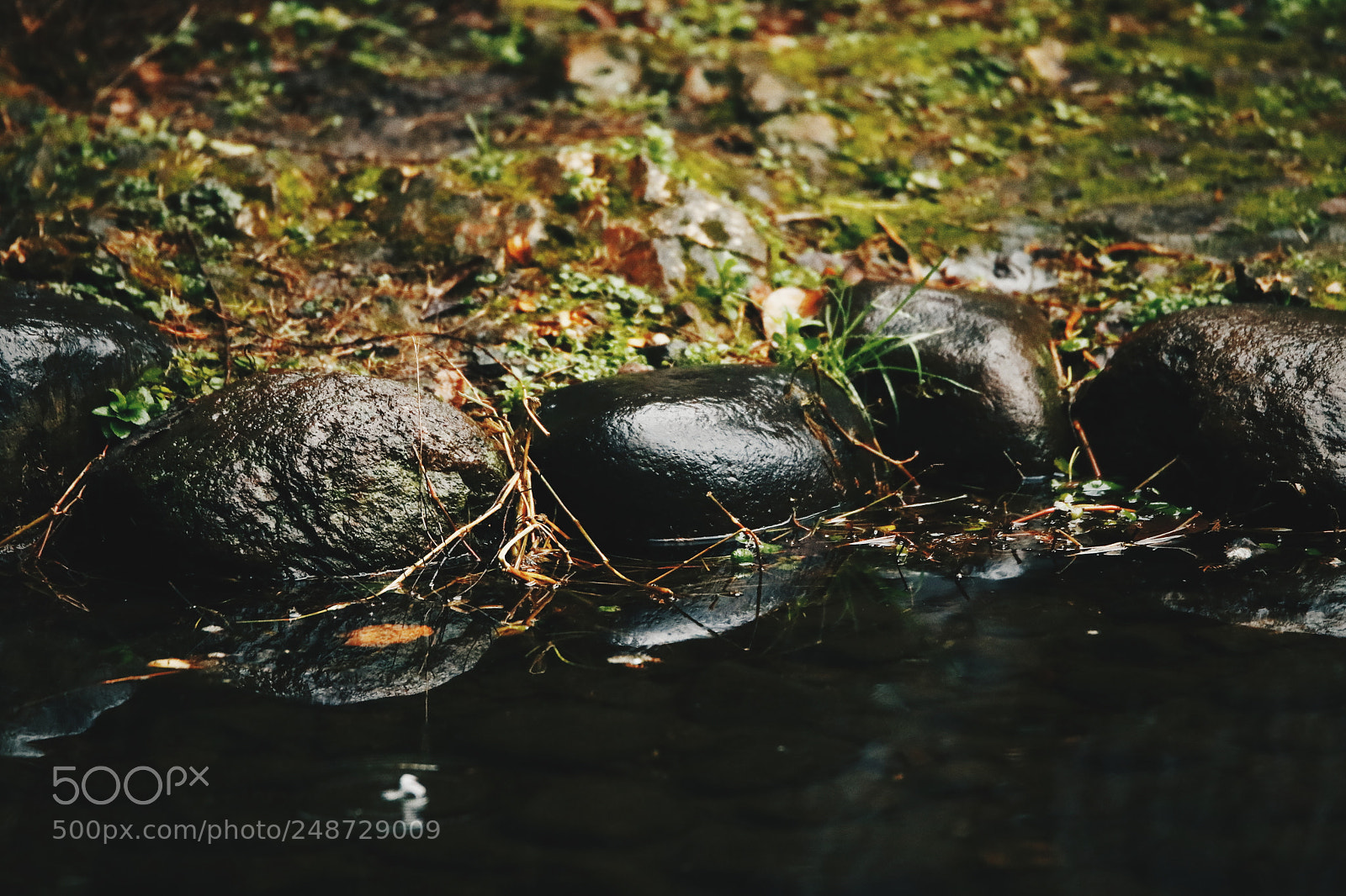 Canon EOS 80D sample photo. Untitled photography