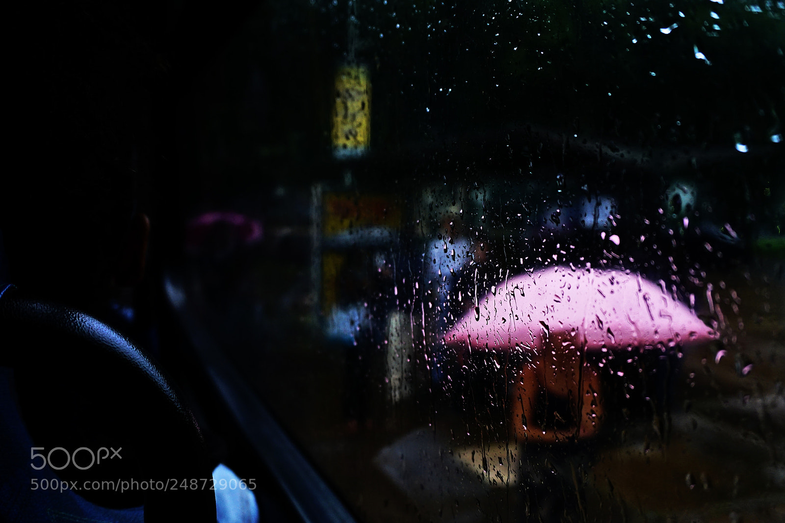 Sony a6000 sample photo. Cor-de-rosa chuva photography