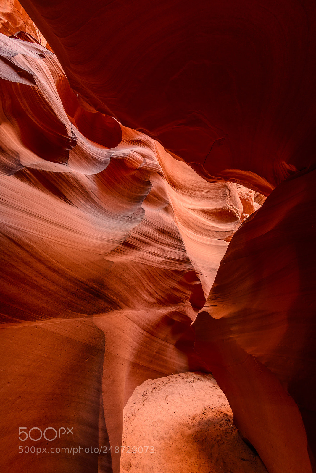 Nikon D800 sample photo. Antelope canyon x photography
