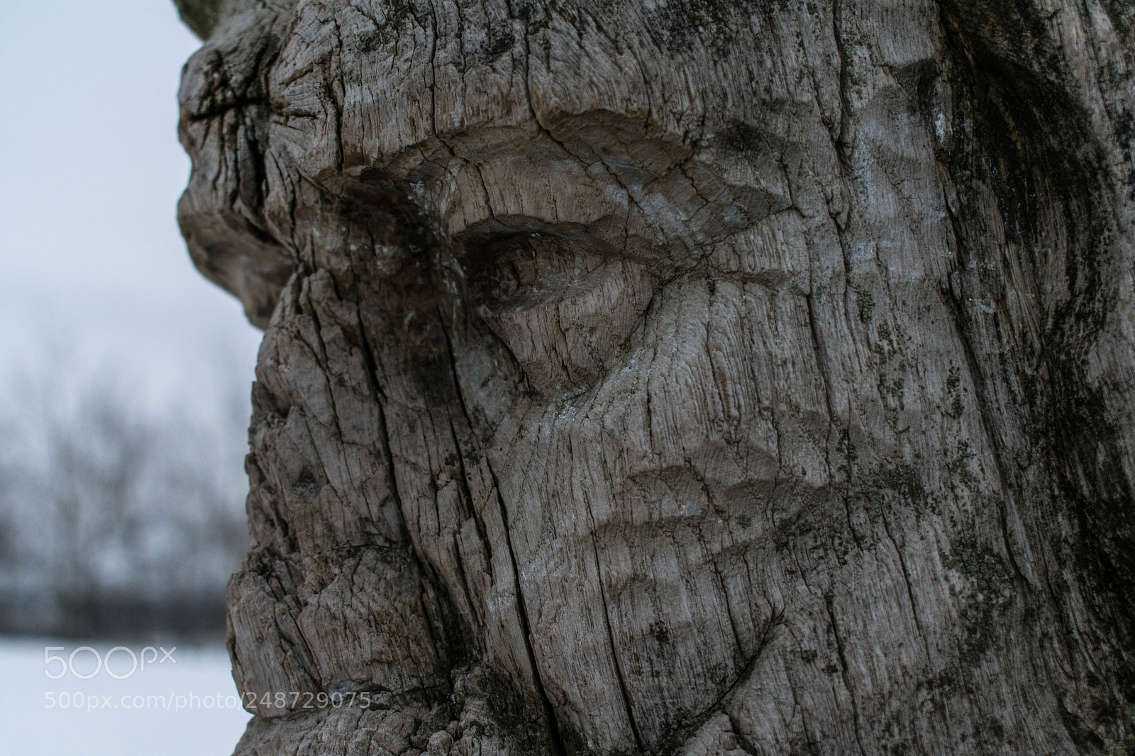 Nikon D3400 sample photo. Wood sculptur photography
