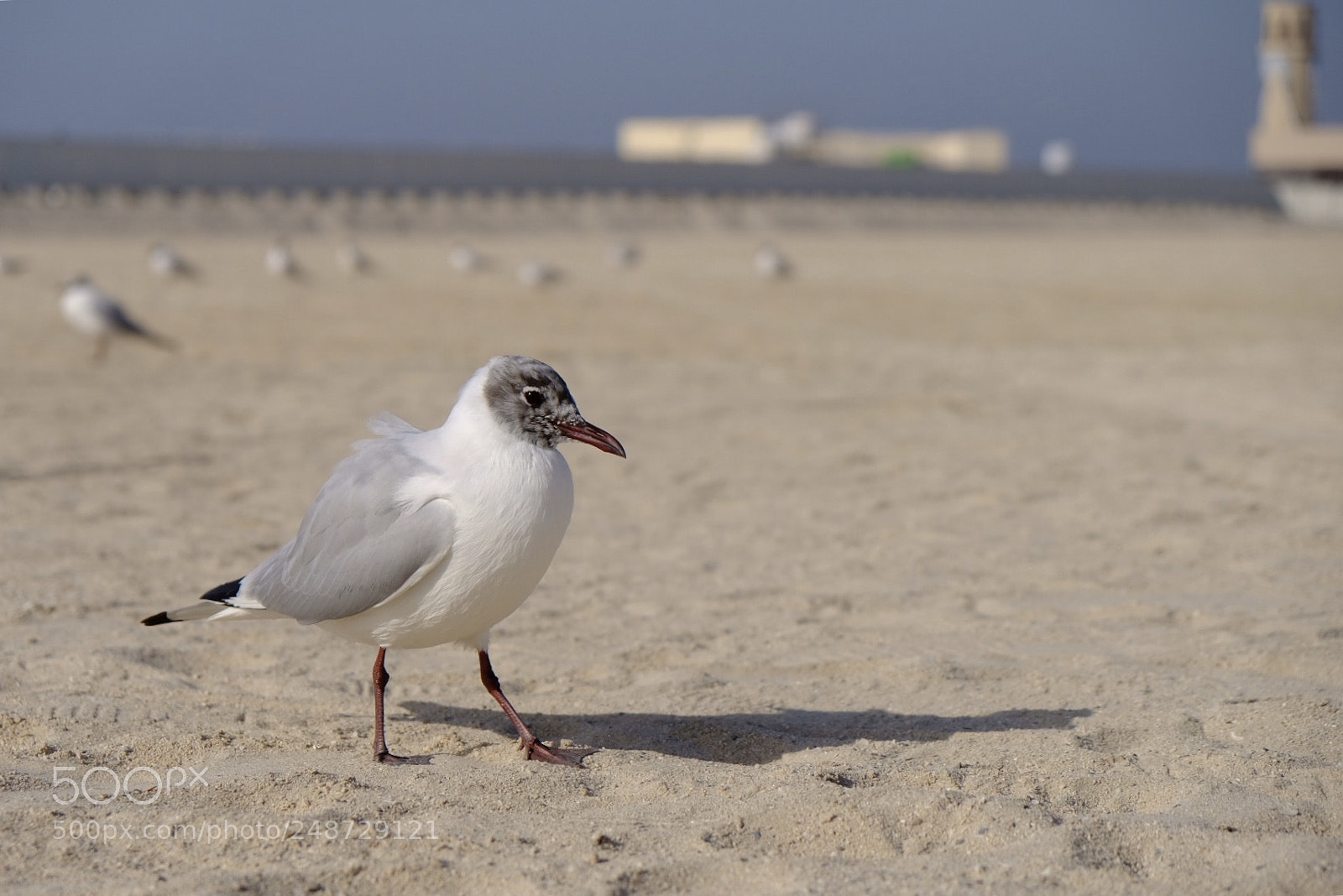 Fujifilm X-T20 sample photo. Untitled photography