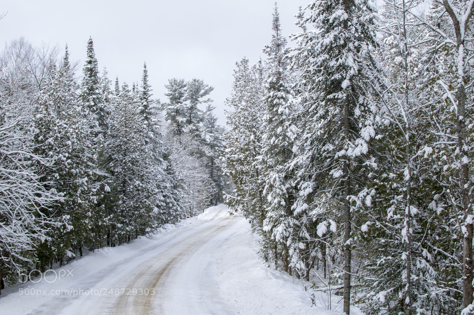 Nikon D3300 sample photo. Winter 3 photography