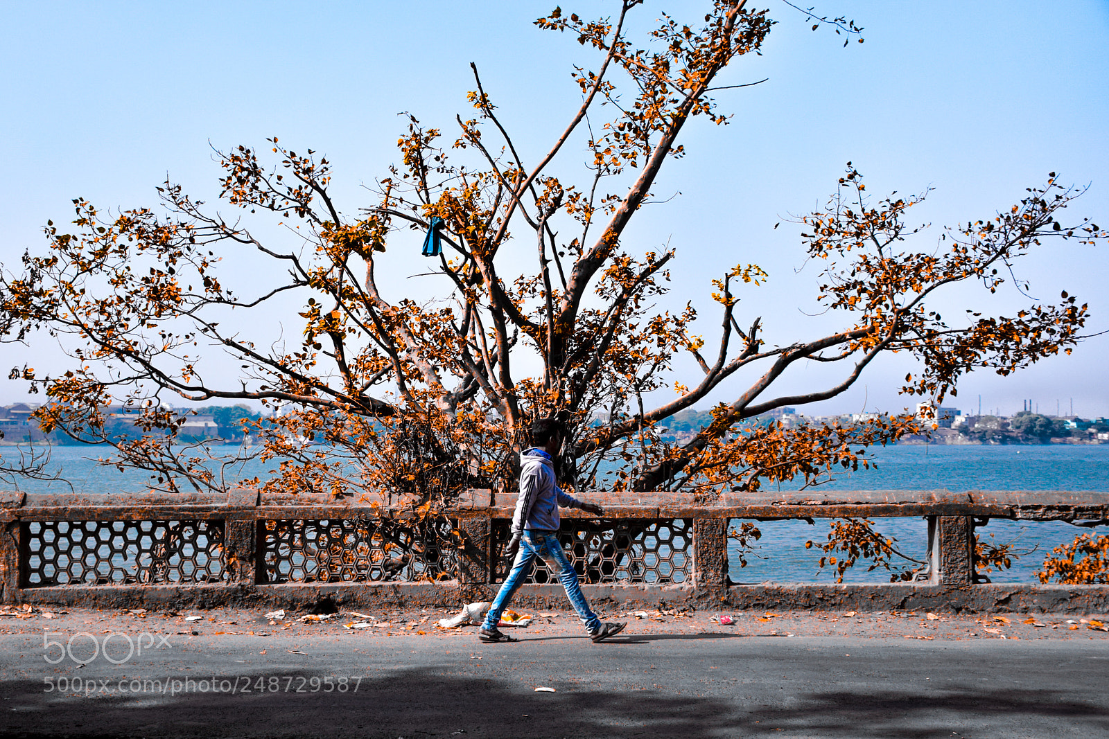 Nikon D5300 sample photo. The balance of power photography