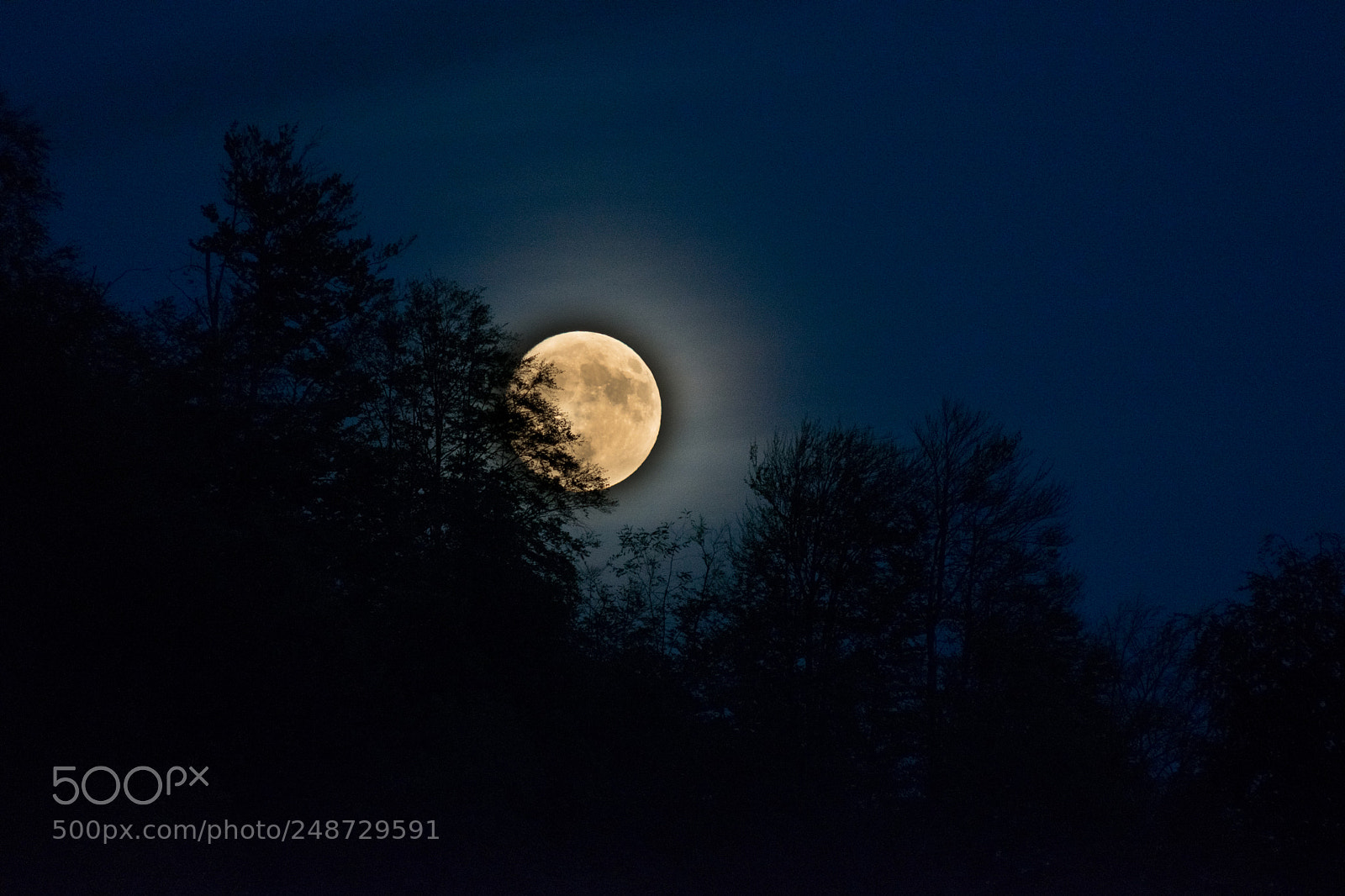 Nikon D5300 sample photo. Rising moon photography