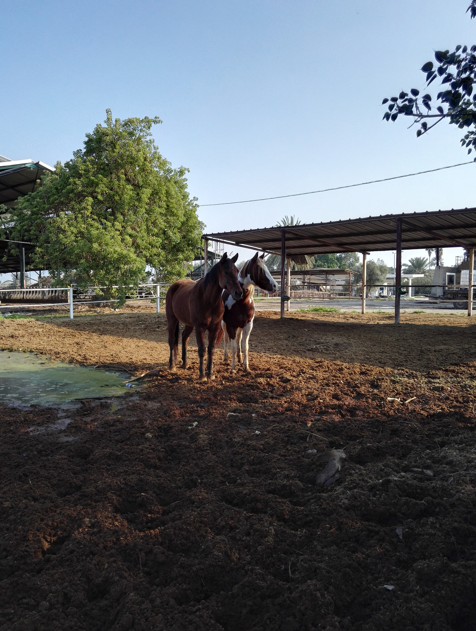 HUAWEI Honor 7 sample photo