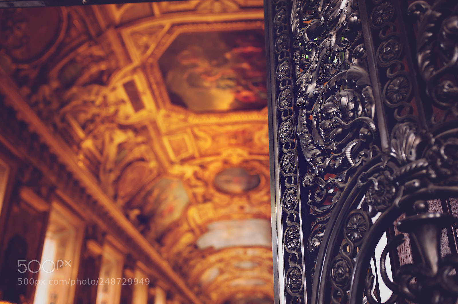 Nikon D700 sample photo. Behind the iron gate... photography