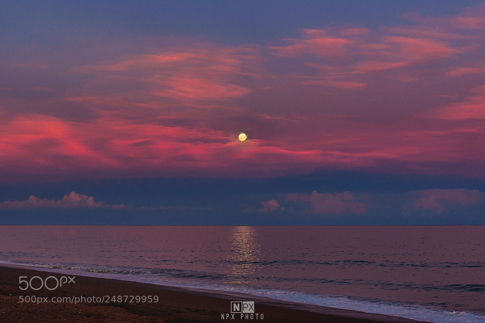 Nikon D7200 sample photo. Purple night photography
