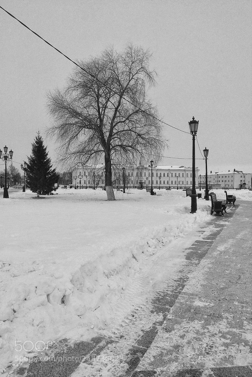 Xiaomi Redmi Note 4 sample photo. Tree in the kremlin photography