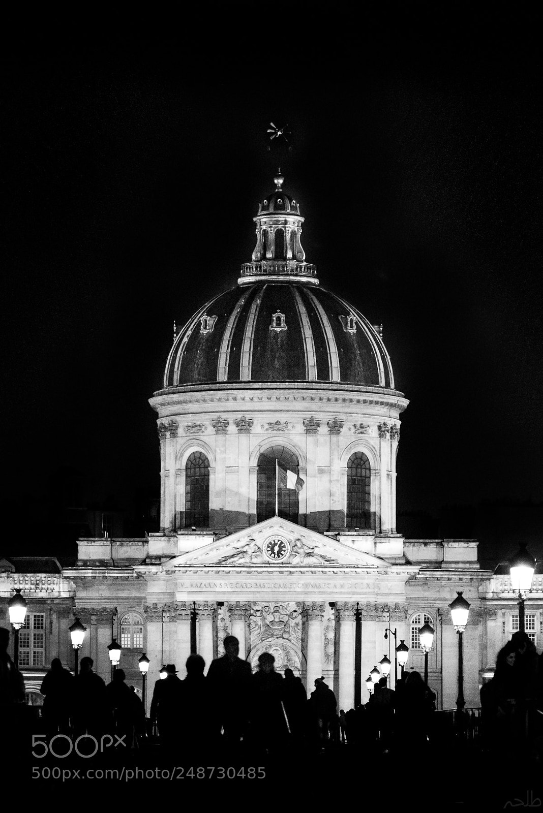 Nikon D810 sample photo. Institut de france photography