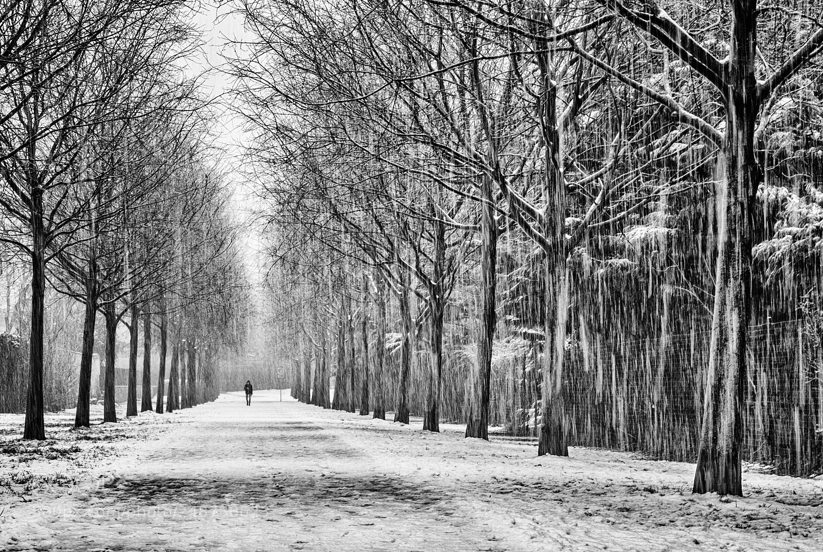 Fujifilm X-T1 sample photo. The white road photography