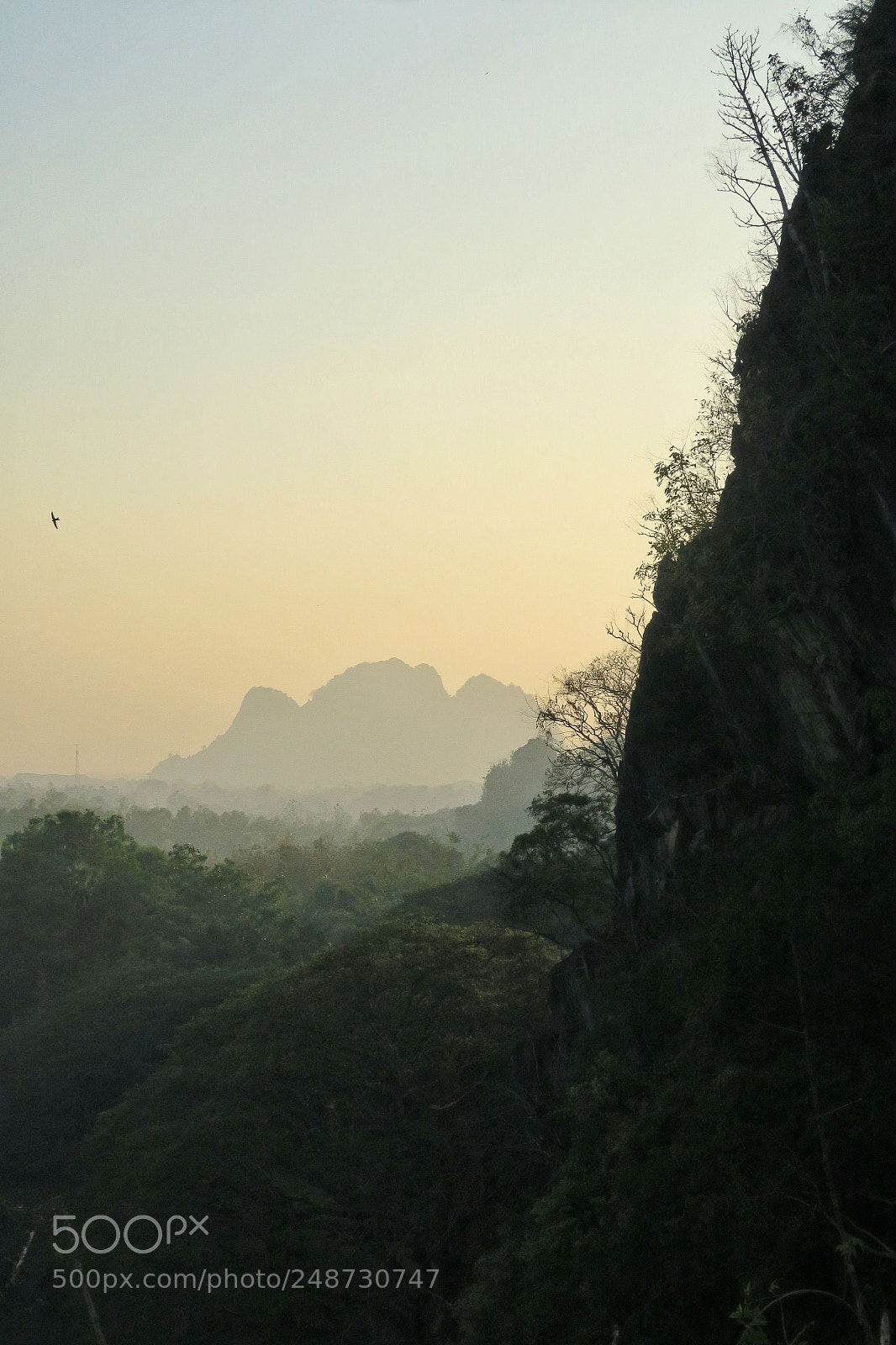 Canon PowerShot G5 X sample photo. Sunset bat cave photography