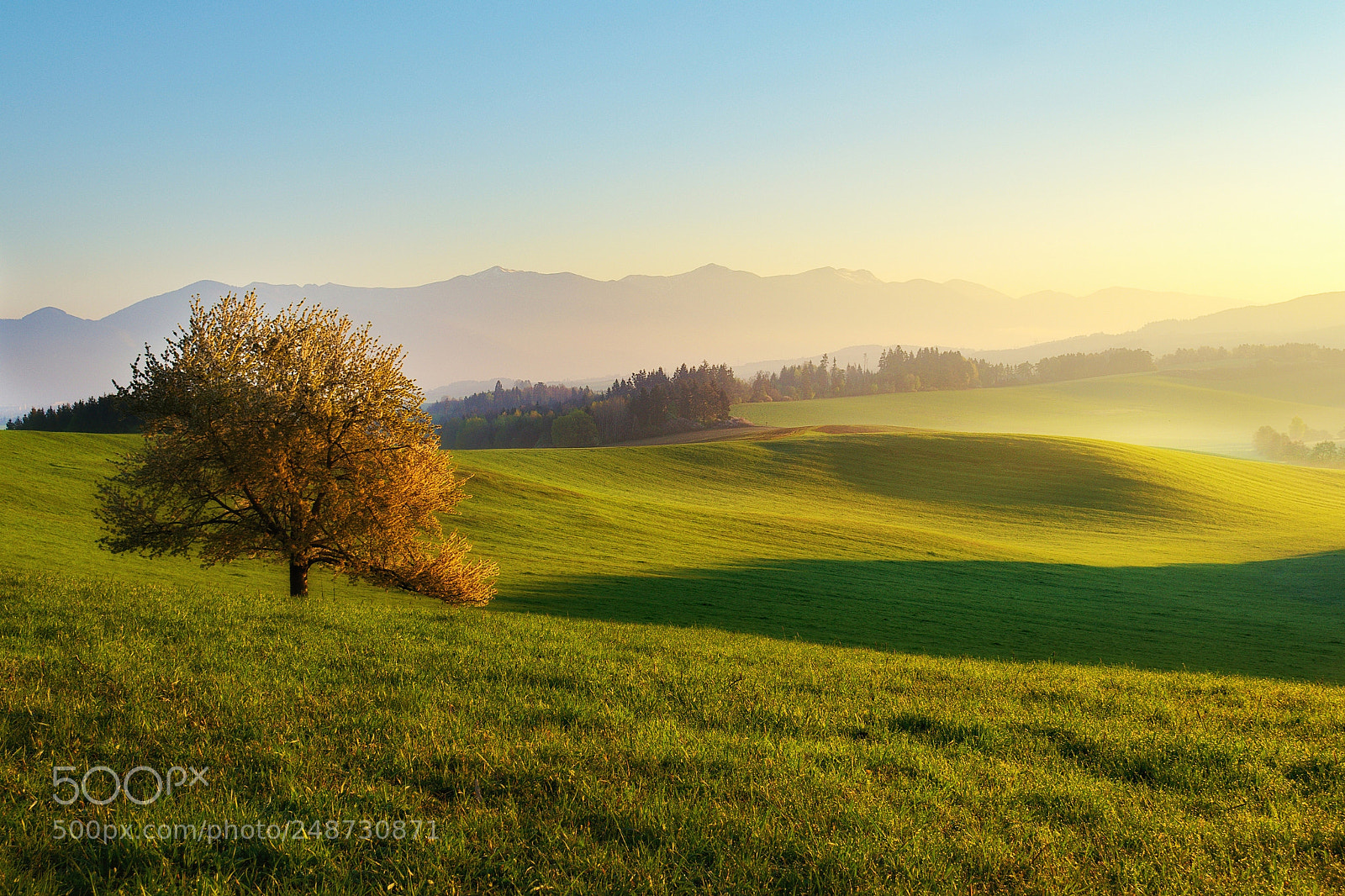 Nikon D5100 sample photo. Morning in turiec photography