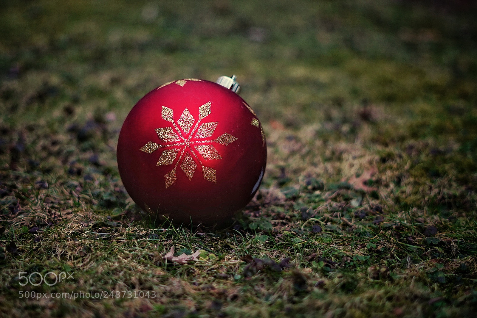 Sony a6000 sample photo. Misplaced photography