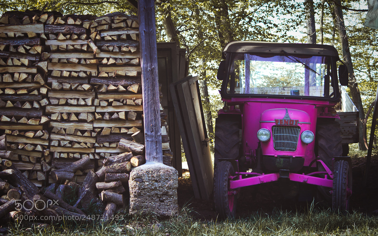Canon EF-S 55-250mm F4-5.6 IS II sample photo. Pink lady photography