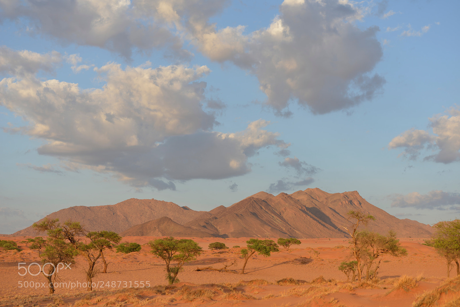 Nikon D800 sample photo. Namib photography