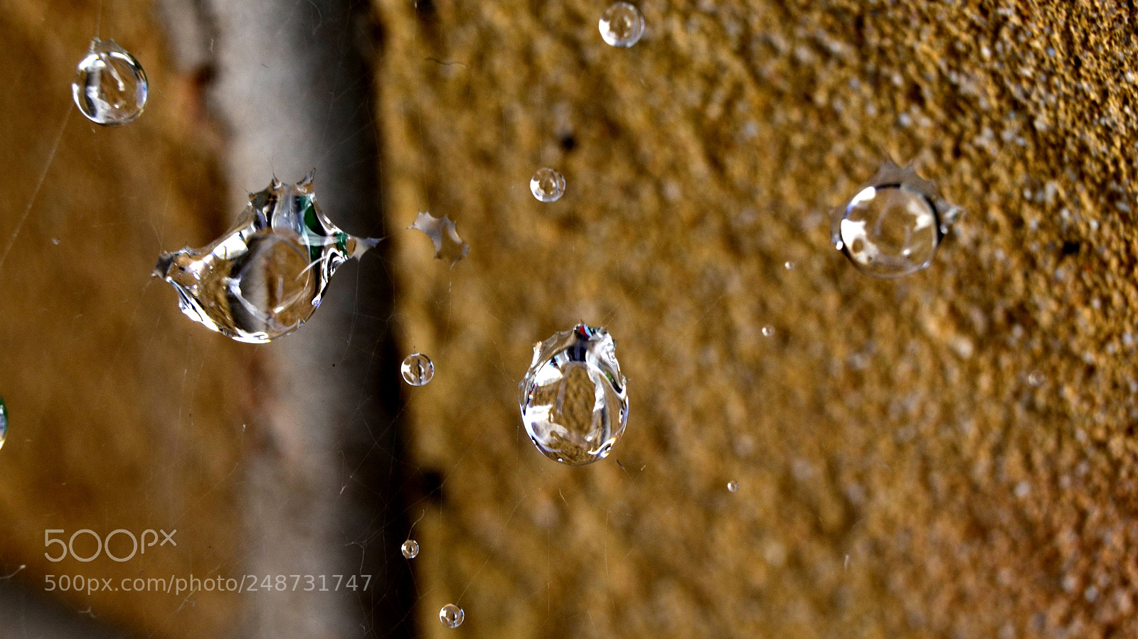 Nikon D5100 sample photo. Little drops on a photography