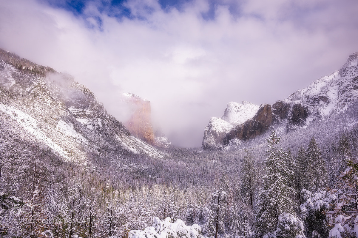 Nikon D810 sample photo. Tunnel view photography