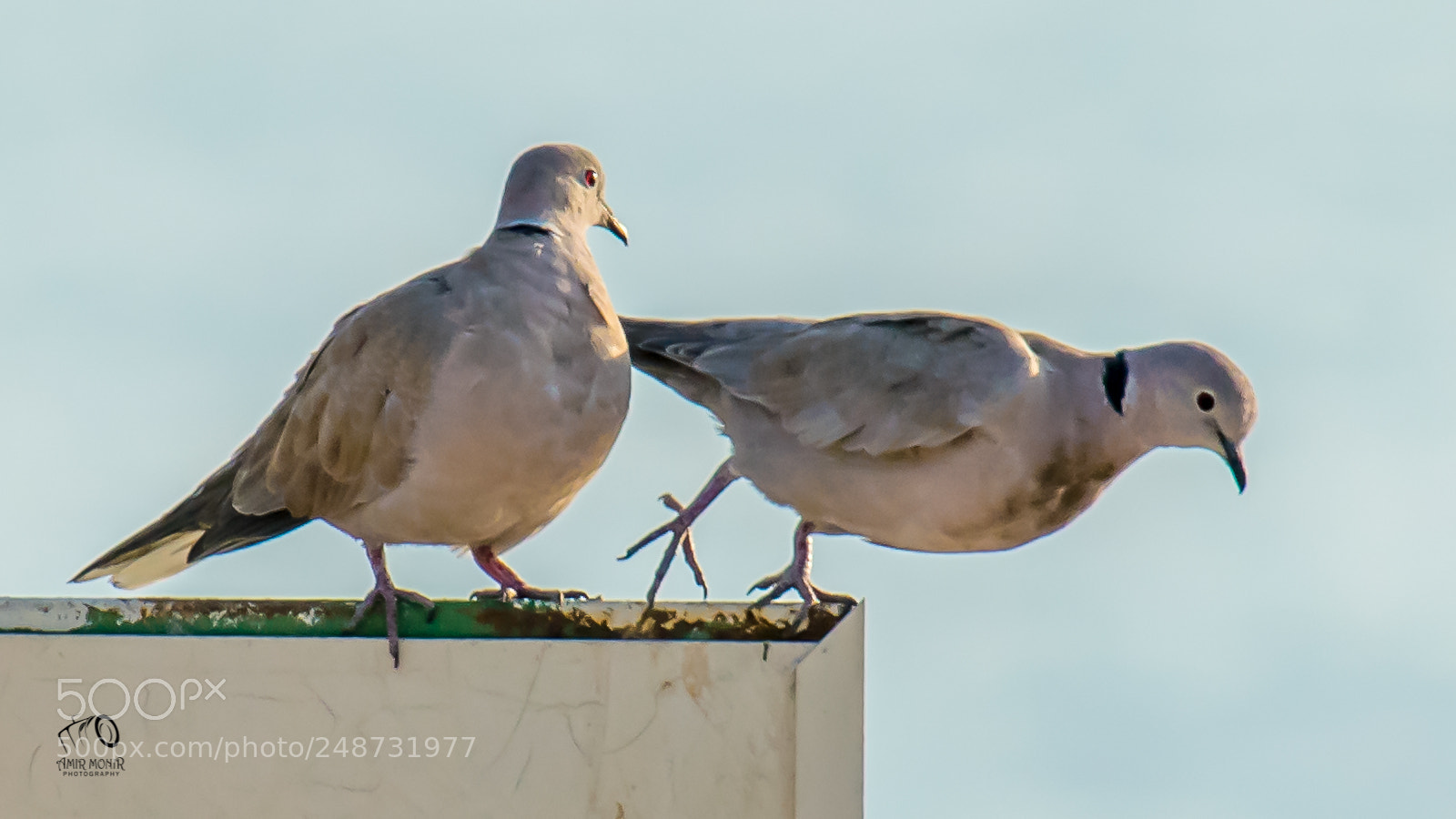Nikon D5300 sample photo. Couple photography