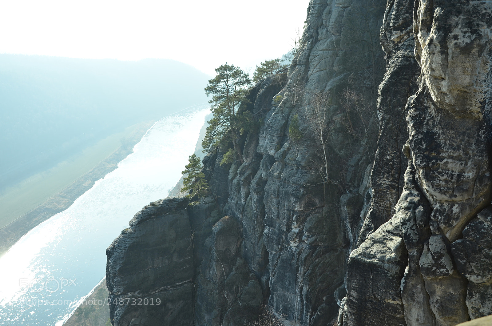 Nikon D5100 sample photo. Trees in the rock photography