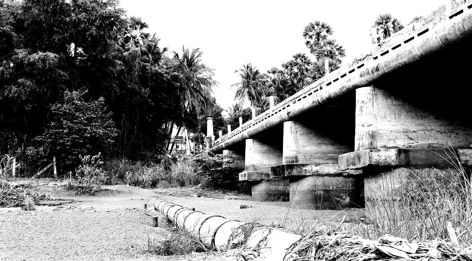 Canon EOS 700D (EOS Rebel T5i / EOS Kiss X7i) sample photo. Bridge photography