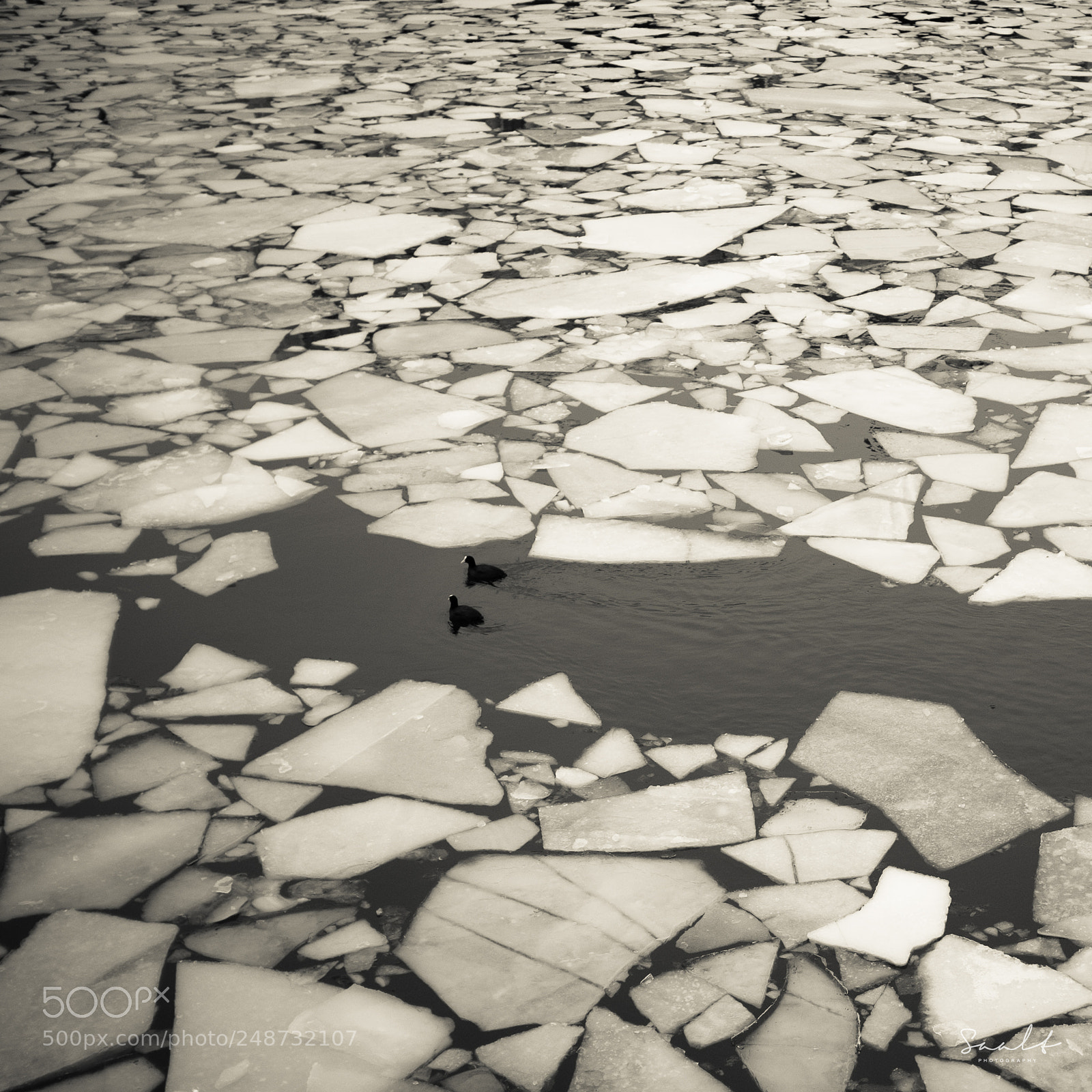Fujifilm X100F sample photo. Mono ice photography