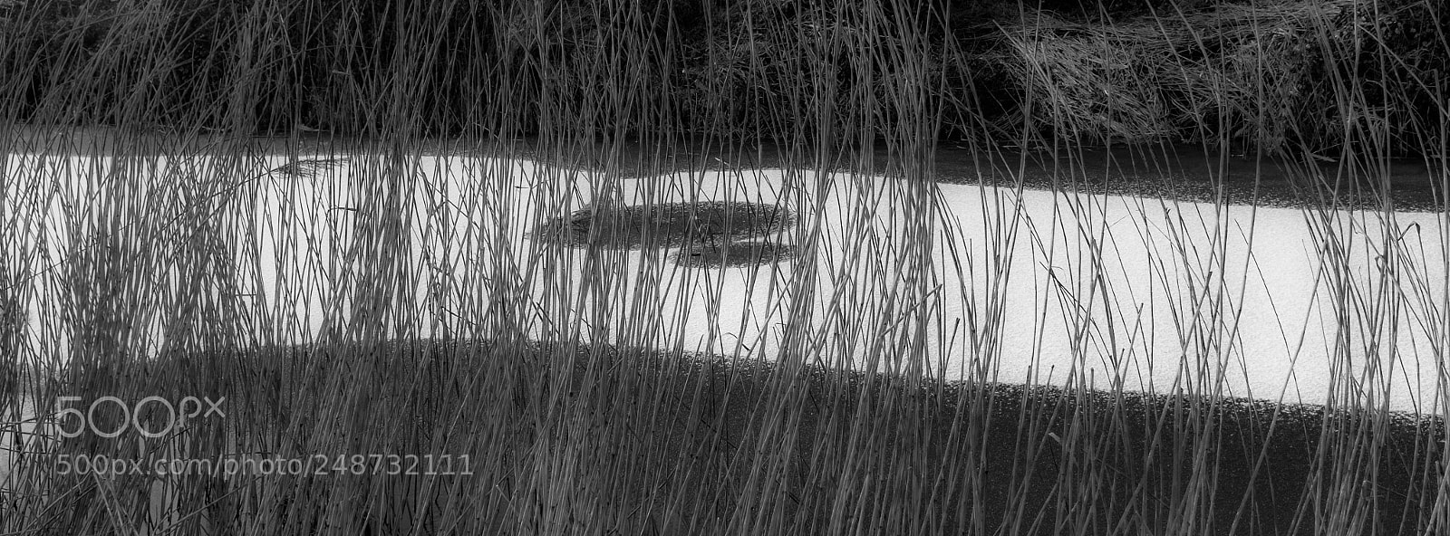 Fujifilm X100T sample photo. Winter photography